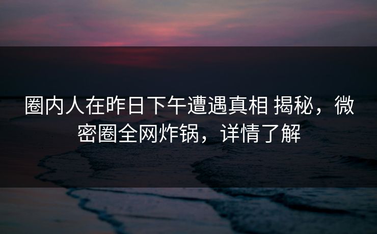 圈内人在昨日下午遭遇真相 揭秘，微密圈全网炸锅，详情了解