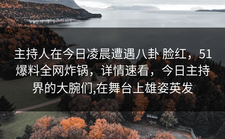 主持人在今日凌晨遭遇八卦 脸红，51爆料全网炸锅，详情速看，今日主持界的大腕们,在舞台上雄姿英发
